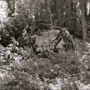 DSC05209