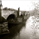 IMG_9217